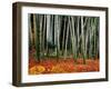 Autumn Leaves on Ground at Saiho-Ji, Kyoto, Japan-Frank Carter-Framed Premium Photographic Print