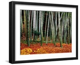 Autumn Leaves on Ground at Saiho-Ji, Kyoto, Japan-Frank Carter-Framed Premium Photographic Print