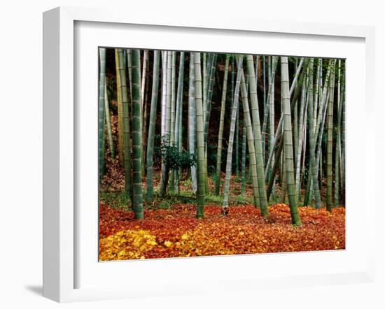 Autumn Leaves on Ground at Saiho-Ji, Kyoto, Japan-Frank Carter-Framed Premium Photographic Print