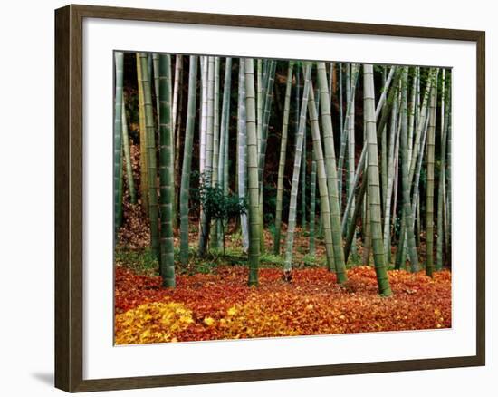 Autumn Leaves on Ground at Saiho-Ji, Kyoto, Japan-Frank Carter-Framed Photographic Print