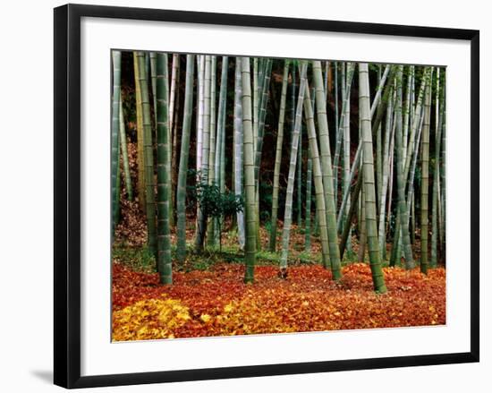 Autumn Leaves on Ground at Saiho-Ji, Kyoto, Japan-Frank Carter-Framed Photographic Print