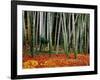 Autumn Leaves on Ground at Saiho-Ji, Kyoto, Japan-Frank Carter-Framed Photographic Print