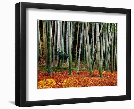 Autumn Leaves on Ground at Saiho-Ji, Kyoto, Japan-Frank Carter-Framed Photographic Print