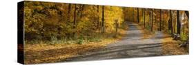 Autumn Leaves on the Road, Connecticut, USA-null-Stretched Canvas