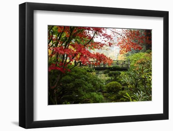 Autumn leaves on trees and footbridge, Japanese garden, Portland, Oregon, USA-Panoramic Images-Framed Photographic Print