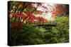 Autumn leaves on trees and footbridge, Japanese garden, Portland, Oregon, USA-Panoramic Images-Stretched Canvas