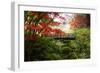 Autumn leaves on trees and footbridge, Japanese garden, Portland, Oregon, USA-Panoramic Images-Framed Photographic Print