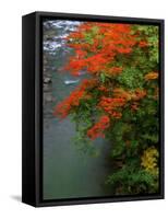 Autumn Leaves Over the River-null-Framed Stretched Canvas