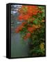 Autumn Leaves Over the River-null-Framed Stretched Canvas