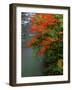 Autumn Leaves Over the River-null-Framed Premium Photographic Print