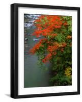 Autumn Leaves Over the River-null-Framed Premium Photographic Print