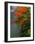 Autumn Leaves Over the River-null-Framed Premium Photographic Print