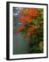 Autumn Leaves Over the River-null-Framed Photographic Print