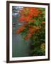 Autumn Leaves Over the River-null-Framed Photographic Print