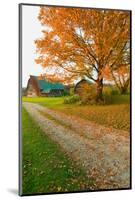 Autumn leaves, red barn and dirt path in Litchfield Hills of Connecticut-null-Mounted Photographic Print