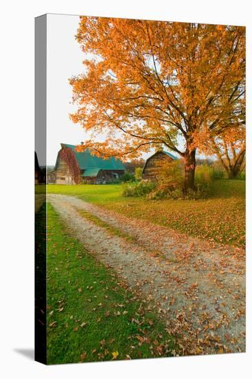 Autumn leaves, red barn and dirt path in Litchfield Hills of Connecticut-null-Stretched Canvas