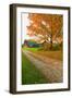 Autumn leaves, red barn and dirt path in Litchfield Hills of Connecticut-null-Framed Photographic Print