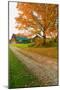 Autumn leaves, red barn and dirt path in Litchfield Hills of Connecticut-null-Mounted Photographic Print