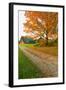 Autumn leaves, red barn and dirt path in Litchfield Hills of Connecticut-null-Framed Photographic Print