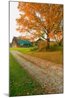 Autumn leaves, red barn and dirt path in Litchfield Hills of Connecticut-null-Mounted Photographic Print