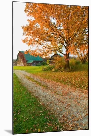 Autumn leaves, red barn and dirt path in Litchfield Hills of Connecticut-null-Mounted Photographic Print