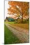 Autumn leaves, red barn and dirt path in Litchfield Hills of Connecticut-null-Mounted Photographic Print