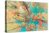 Autumn Leaves up in the Trees - Retro, Faded-SHS Photography-Stretched Canvas