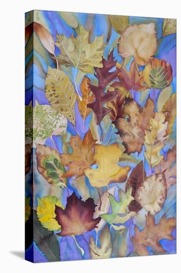 Autumn Leaves V-Sharon Pitts-Stretched Canvas