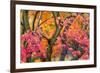 Autumn Leaves, Westonbirt Arboretum, Gloucestershire, England, UK-Peter Adams-Framed Photographic Print