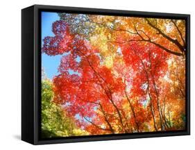 Autumn Leaves-null-Framed Stretched Canvas