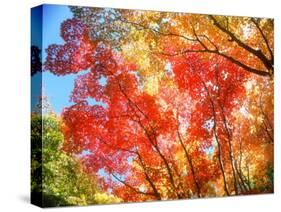 Autumn Leaves-null-Stretched Canvas