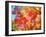 Autumn Leaves-null-Framed Premium Photographic Print