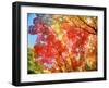 Autumn Leaves-null-Framed Premium Photographic Print