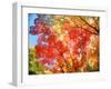 Autumn Leaves-null-Framed Premium Photographic Print