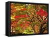 Autumn Leaves-null-Framed Stretched Canvas