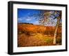 Autumn Leaves-Philippe Sainte-Laudy-Framed Photographic Print