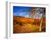 Autumn Leaves-Philippe Sainte-Laudy-Framed Photographic Print