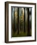 Autumn Leaves-Bjorn Emanuelson-Framed Photographic Print