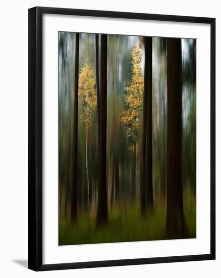 Autumn Leaves-Bjorn Emanuelson-Framed Photographic Print