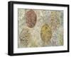 Autumn Leaves-Cora Niele-Framed Photographic Print