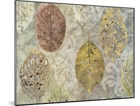 Autumn Leaves-Cora Niele-Mounted Photographic Print