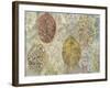 Autumn Leaves-Cora Niele-Framed Photographic Print