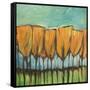 Autumn Leaves-Tim Nyberg-Framed Stretched Canvas