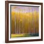 Autumn Leaves-Teri Jonas-Framed Giclee Print