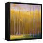 Autumn Leaves-Teri Jonas-Framed Stretched Canvas