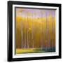 Autumn Leaves-Teri Jonas-Framed Premium Giclee Print