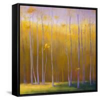 Autumn Leaves-Teri Jonas-Framed Stretched Canvas