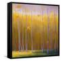 Autumn Leaves-Teri Jonas-Framed Stretched Canvas