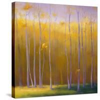 Autumn Leaves-Teri Jonas-Stretched Canvas