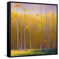 Autumn Leaves-Teri Jonas-Framed Stretched Canvas